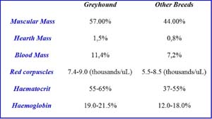 dog breeds physiological parameters